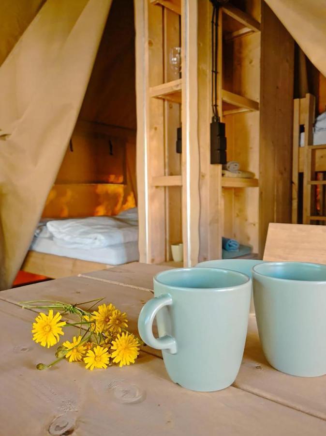 Safari Tent M - Camping Belle-Vue 贝尔多夫 外观 照片